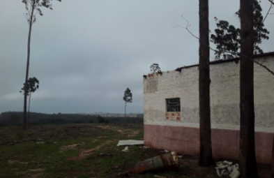 Chácara para venda em Avaré